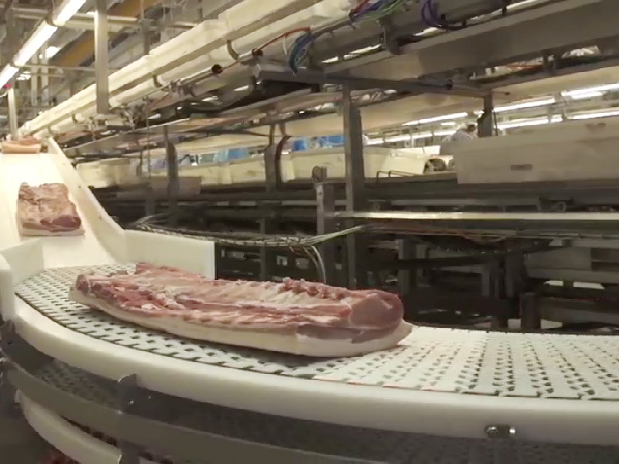 【皮带电动滚筒】肉类食品加工应用